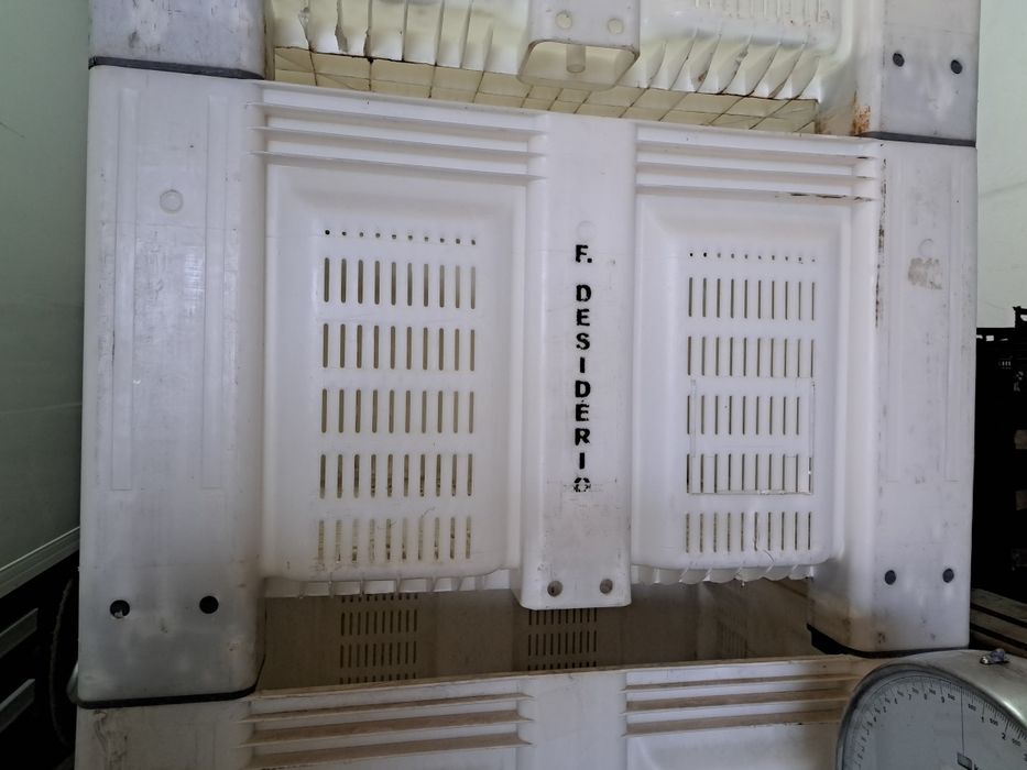 Palotes Plástico 120x100x74 Barrigudos Domplex