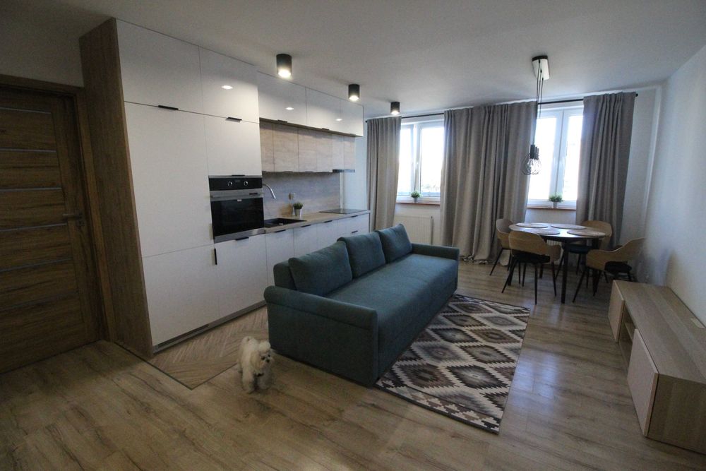 Wyjątkowe 3 pokoje (63m²) po remoncie generalnym | Leśna Dolina, blisko lasu