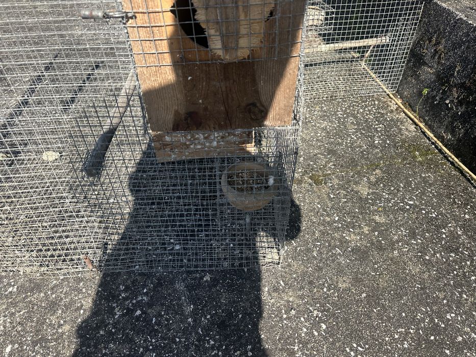 3 gaiolas  para aves