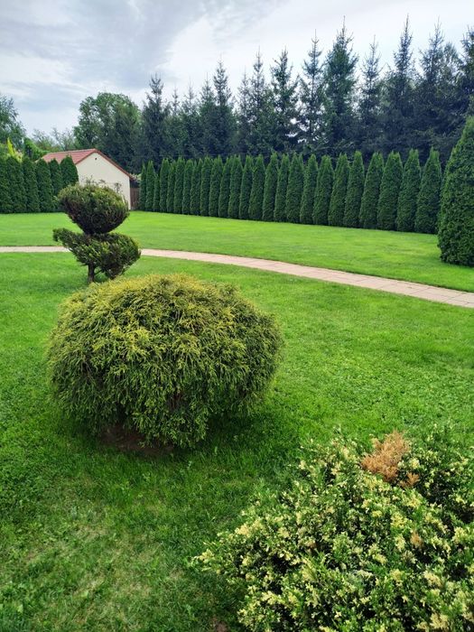 Dom Mielec Kr.Jadwigi