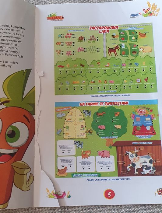 Gra Carotina - 50 gier