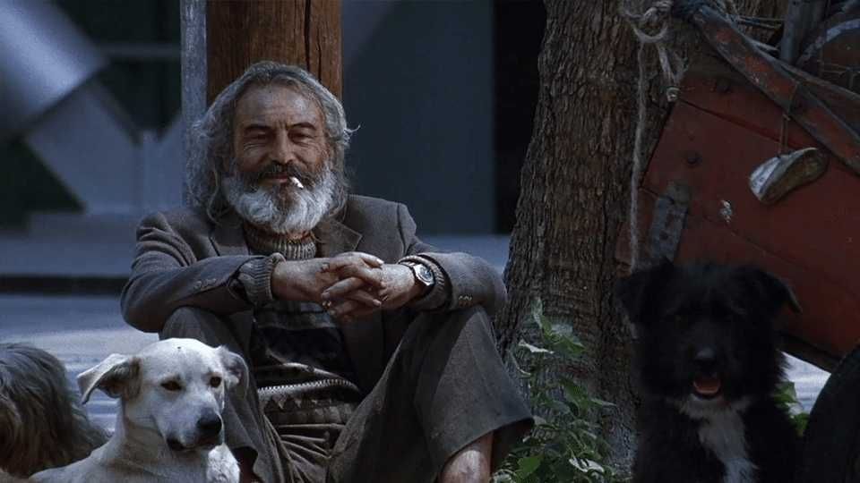 AMOR CÃO (Alejandro González Iñárritu) Gael García Bernal/Goya Toledo