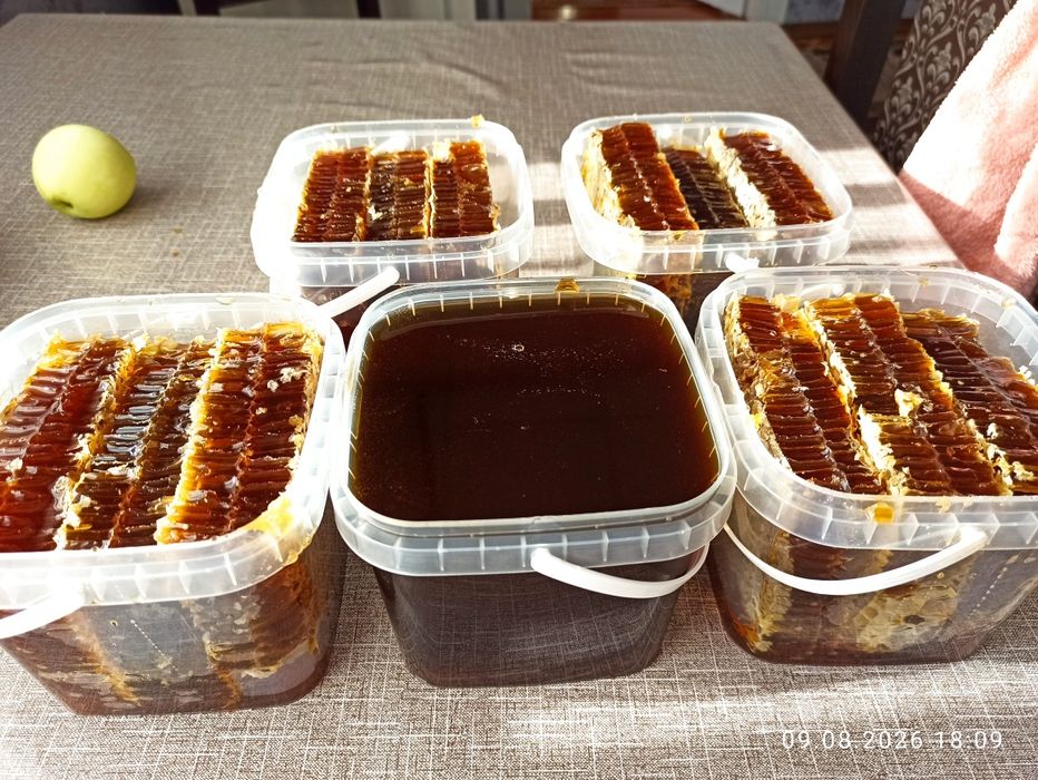 Продам гречаний мед