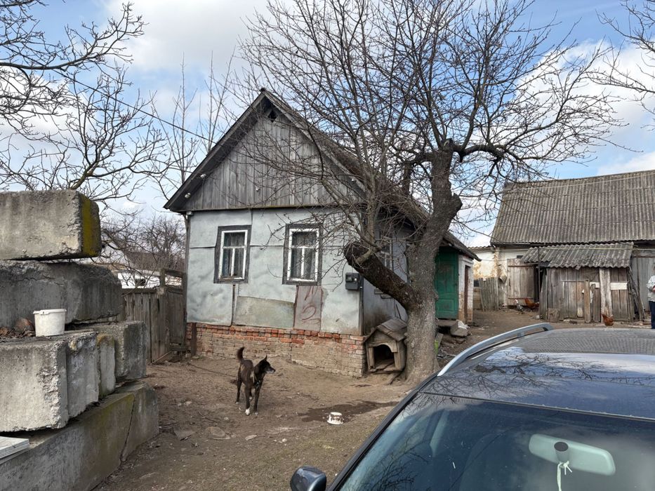 Приватний будинок