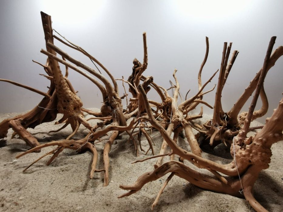 Korzenie Red Moor Root Nano 100g, korzenie do akwarium, Turkusowe Zoo