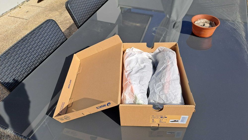 Ascis Gel-Kayano 31