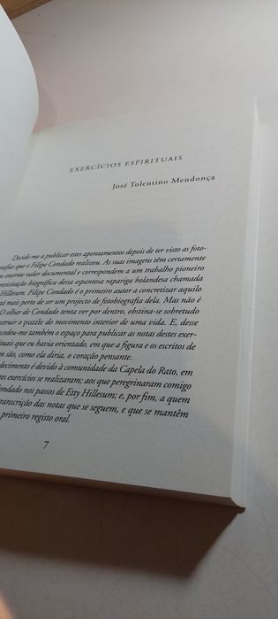 Nos Passos de Etty Hillesum - Filipe Condado, José Tolentino Mendonça