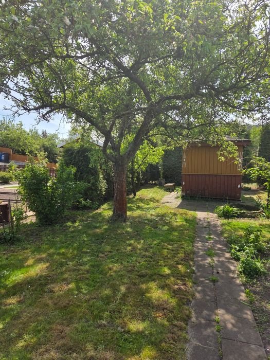 Działka ROD ul. Hetmańska - Widok 4