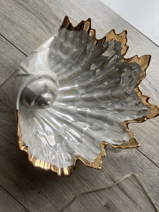 Ракушка раковина цукерниця