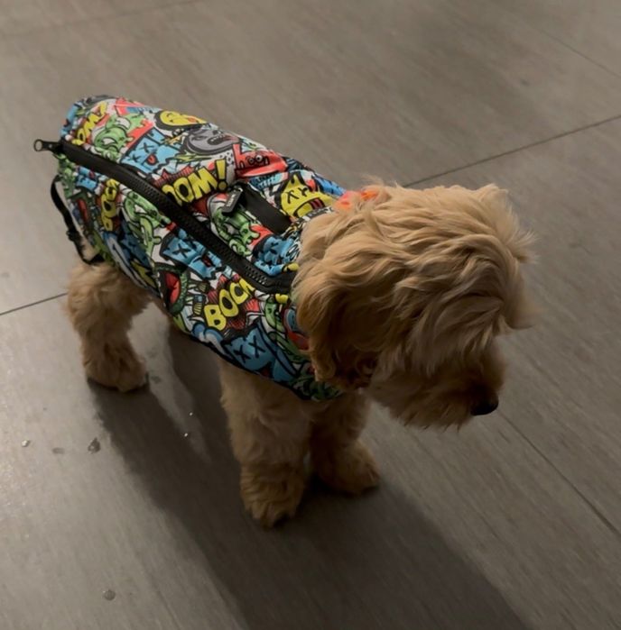 M-Pets Urban Style - Зимова куртка для собак XS