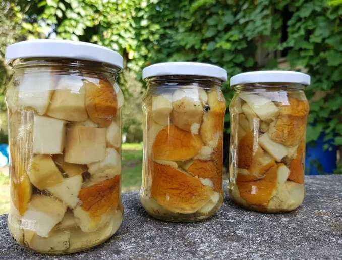 10x315ml borowik marynowany podgrzybek marynowany grzyby marynowane