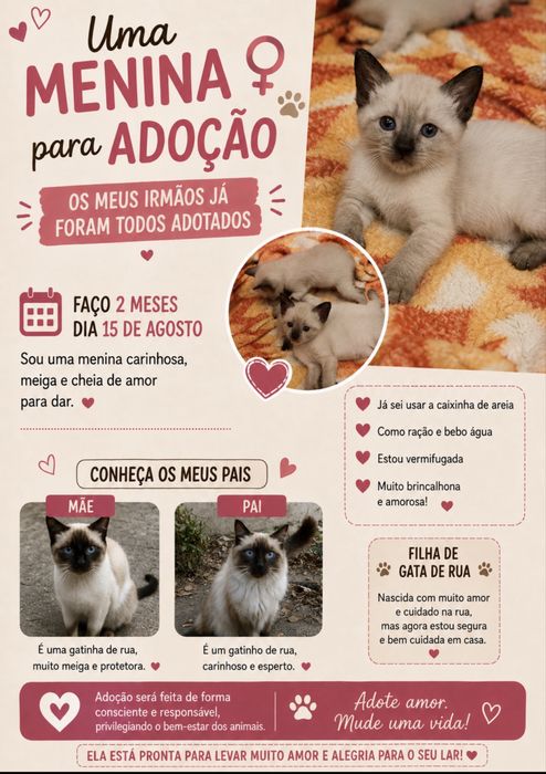 Gatinha para adopçao responsavel