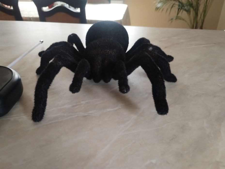 Duży pająk tarantula zdalnie sterowany