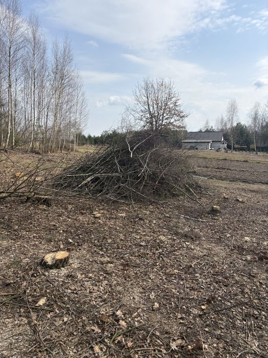 Gałęzie do oddania