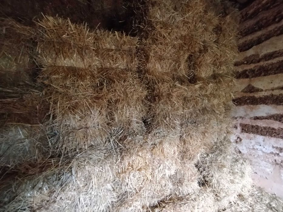 Venda de fardos de palha