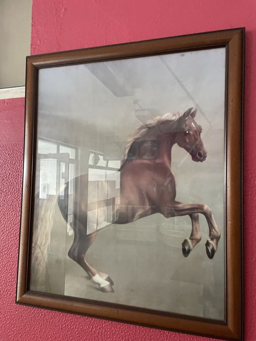 Quadro cavalo grande