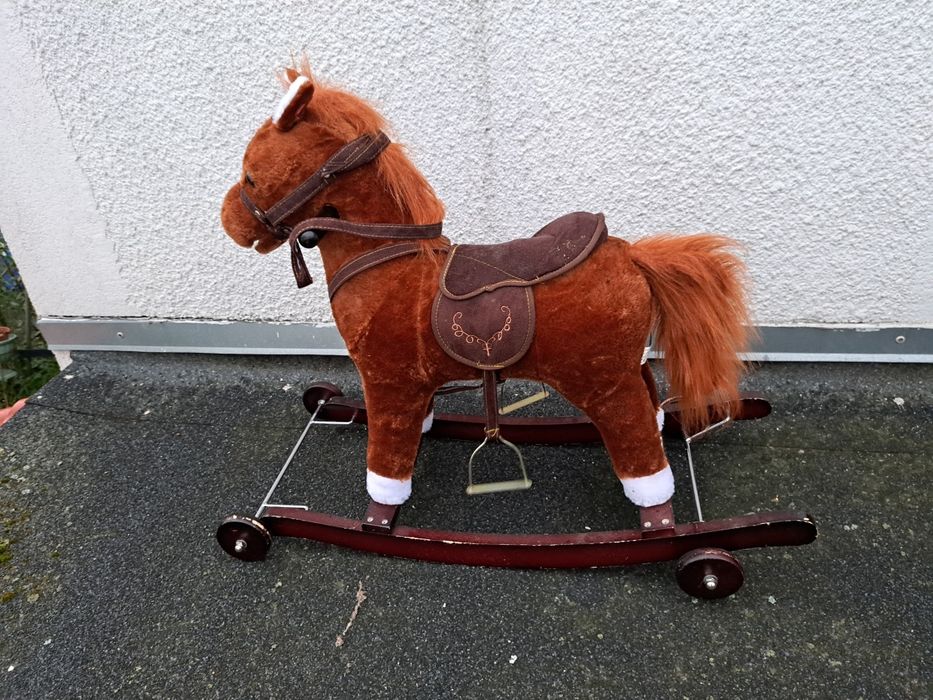 Kon na biegunach, z głosem