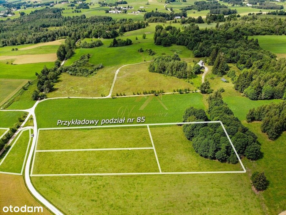 2km od jez. Hańcza | 2199 m² - More