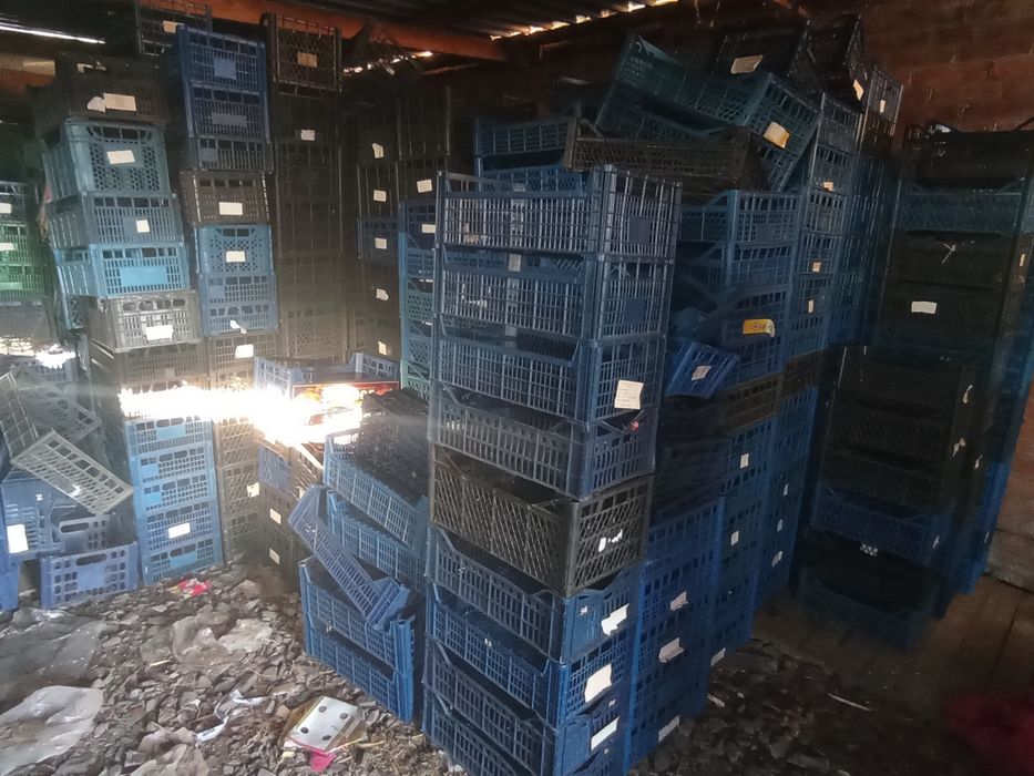 Продам ящики пластикові дерев'яні