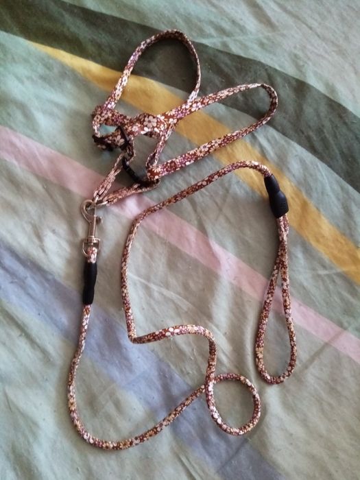 Поводок для кота, кошки новый