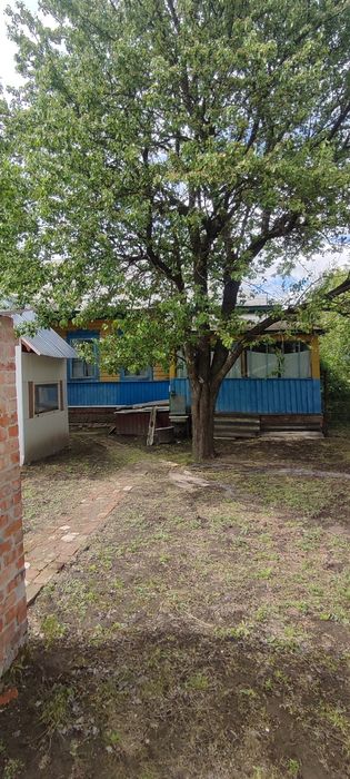 Затишна садиба біля Десни