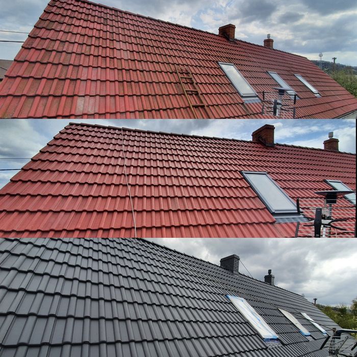 Malowanie, mycie dachów oraz ogrodzeń betonowych