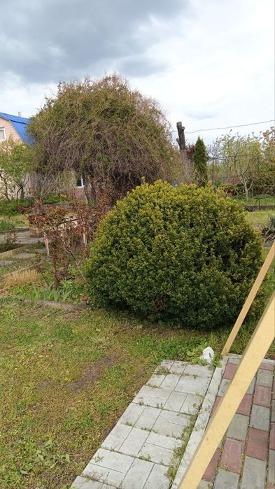 Продам дачу с.о Днепр Калоша