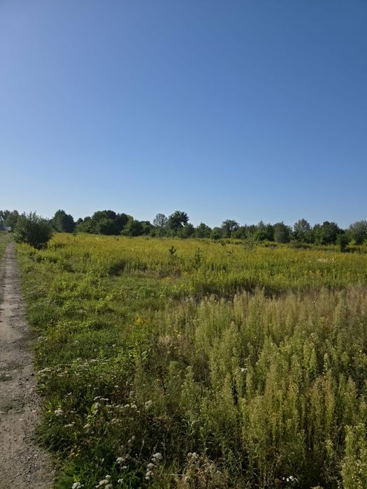 Działka budowlana 1479 m² z WZ – Niecieplin k. Garwolina - Widok 2