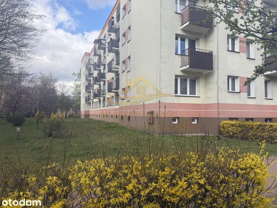 centrum , do wprowadzenia