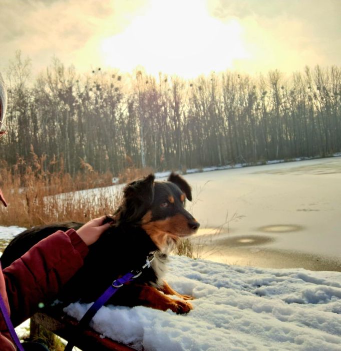 Mały i kochany Cedrik- pokochaj go