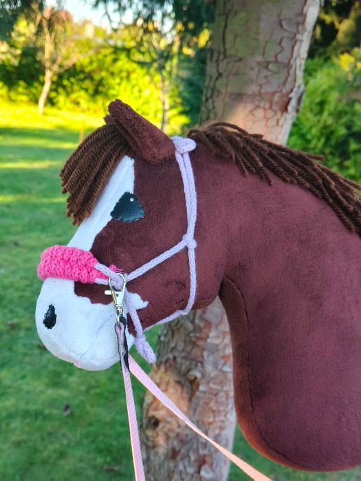 Hobby horse srs