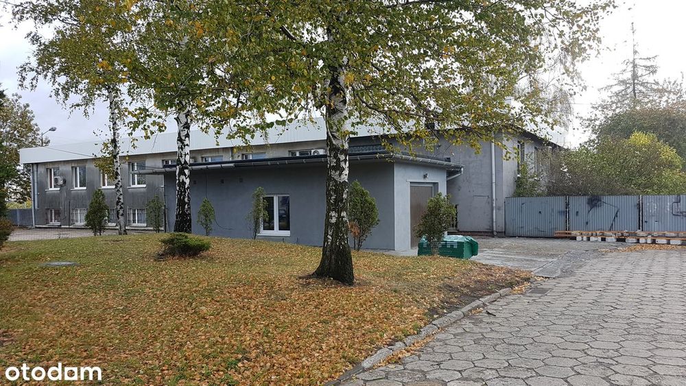 Działka, Gliwice