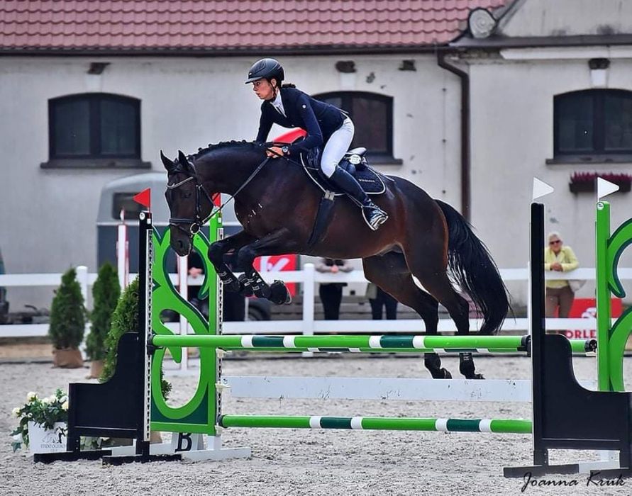 Stanówka Ogierem Małopolskim, Angloarabskimi, Huncwot