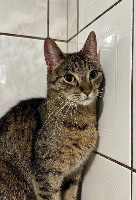 LEIA i KAJA - dwa serca, jedno miejsce przy Twoim boku