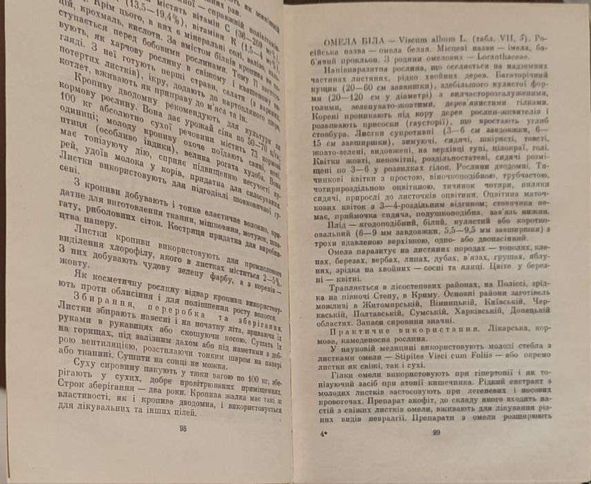 Дари         лісів
