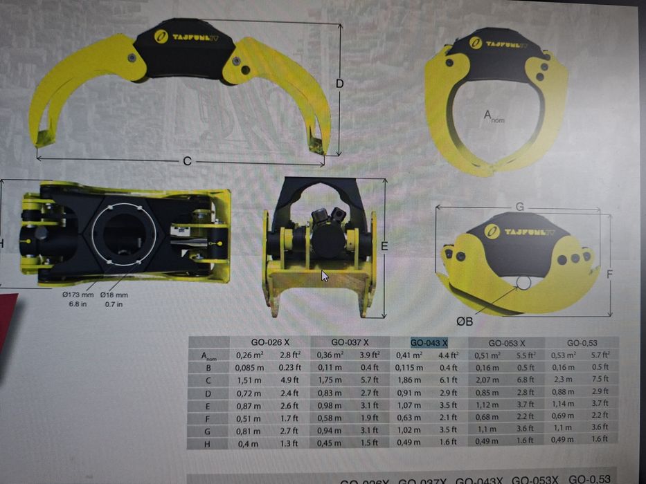 Pinca grifa florestal 043