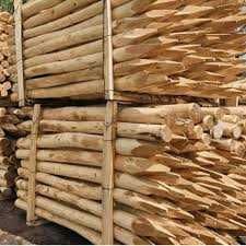 Słupki ogrodzeniowe okorowane