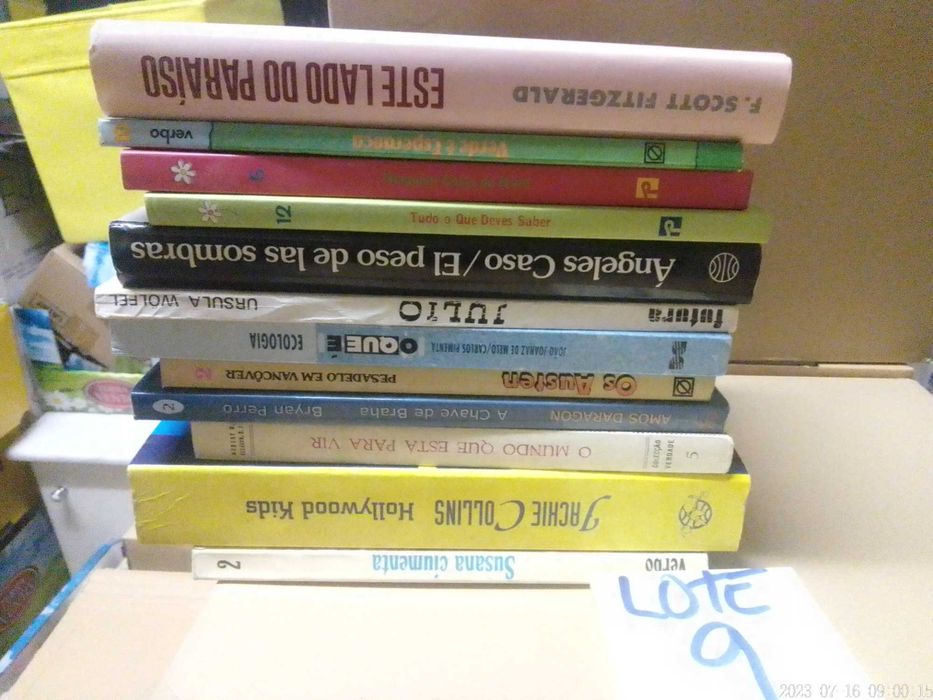 Livros BARATOS Vendidos EM SEPARADO - LOTE 9 - Vários Preços