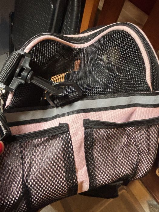 Transportadora de animais