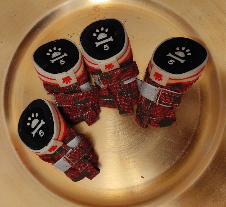 Botas para Cachorro T. 5