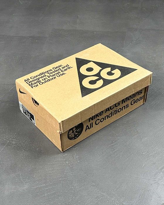 Кросівки Nike ACG Mountain Fly Gore-Tex Brown