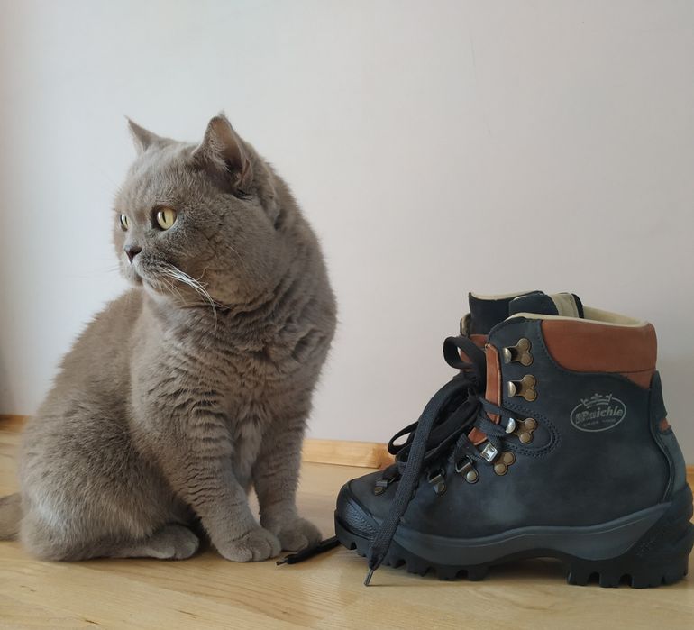 Черевики гірські туристичні Raichle Ботинки туристические