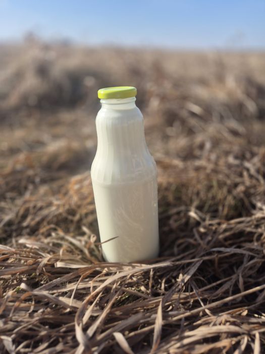 Mleko kozie sery serwatka masło