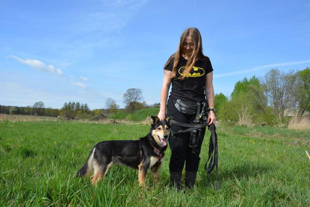 Irys Irysek młody psiak szuka domu