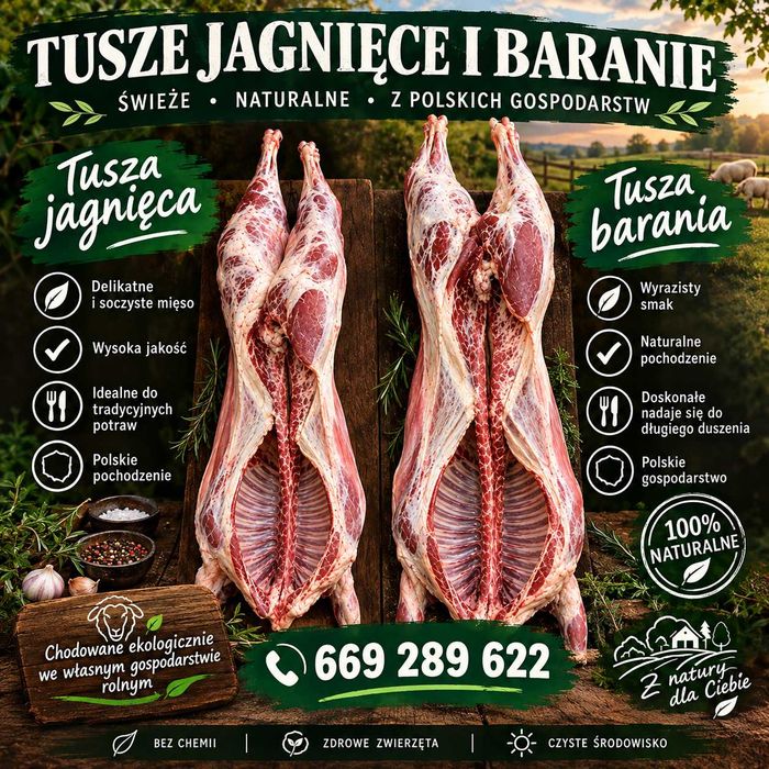 Jagnięcina świeże mięso jagnięce.