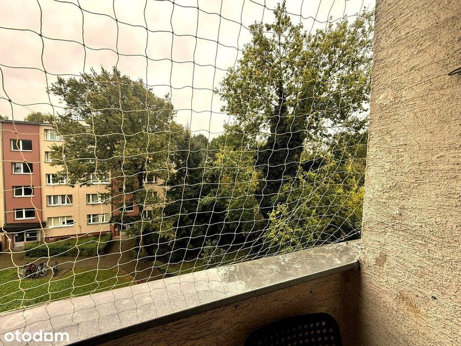 Zdjęcie 3