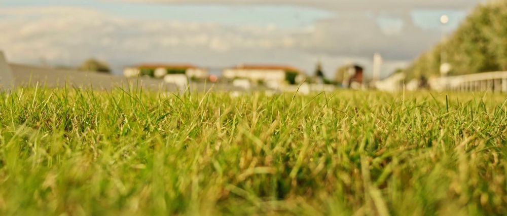 Tamron Lente 28-75 mm F/2,8 Di III VXD G2 (E-Mount)