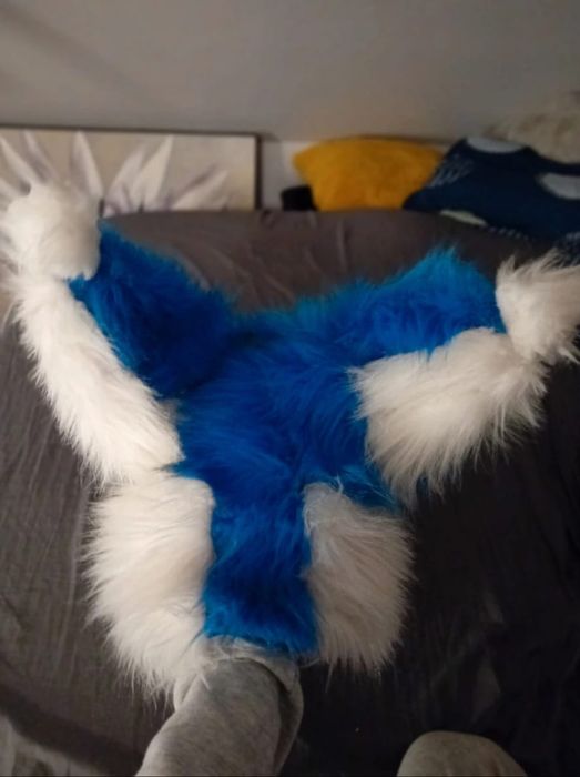 niebiesko biała dino maska koi