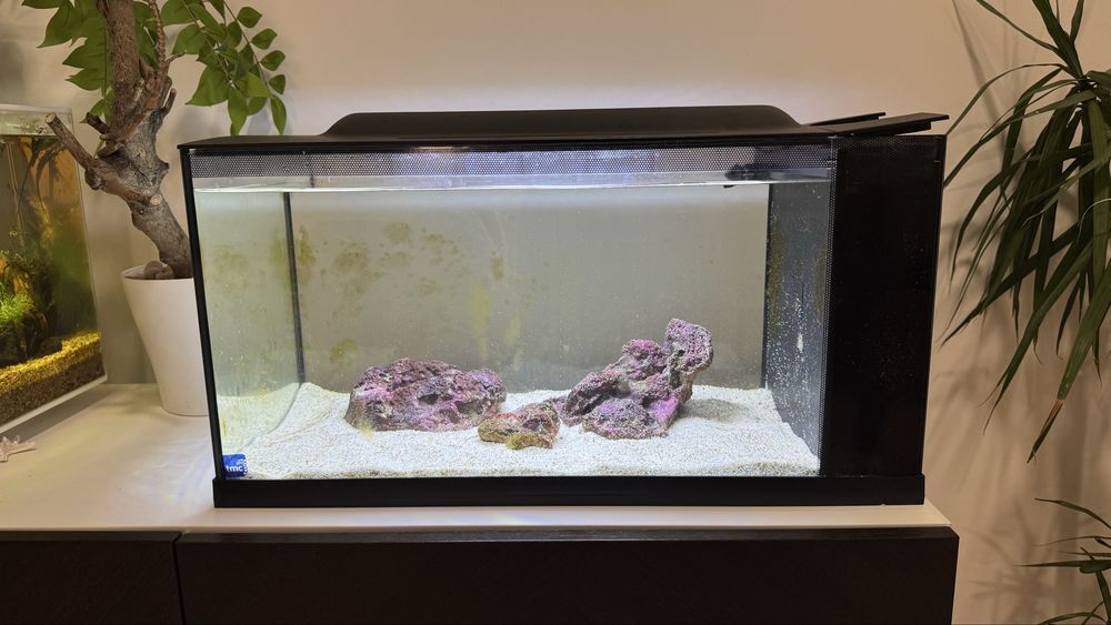 Aquario Marinho Completo 50L