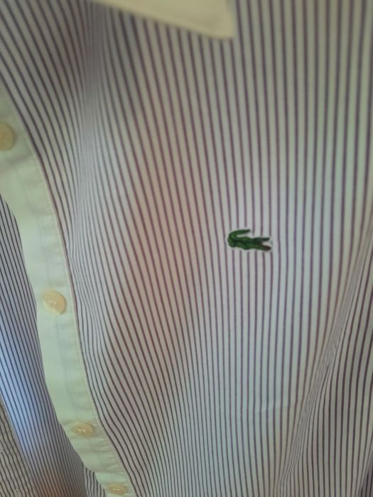 Camisa de risca Lacoste